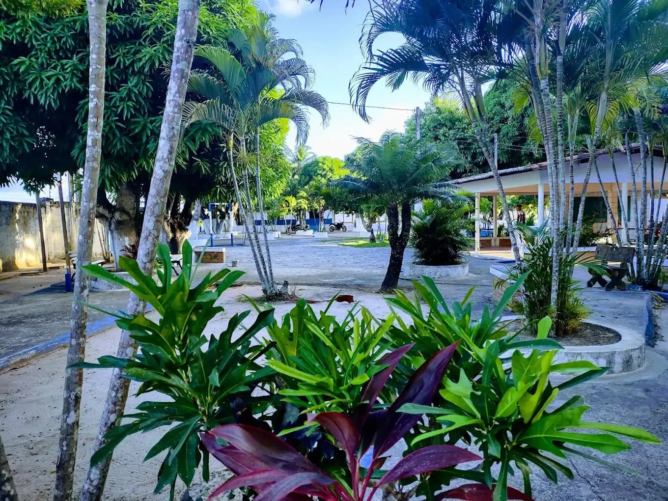 Jardim e área verde externa